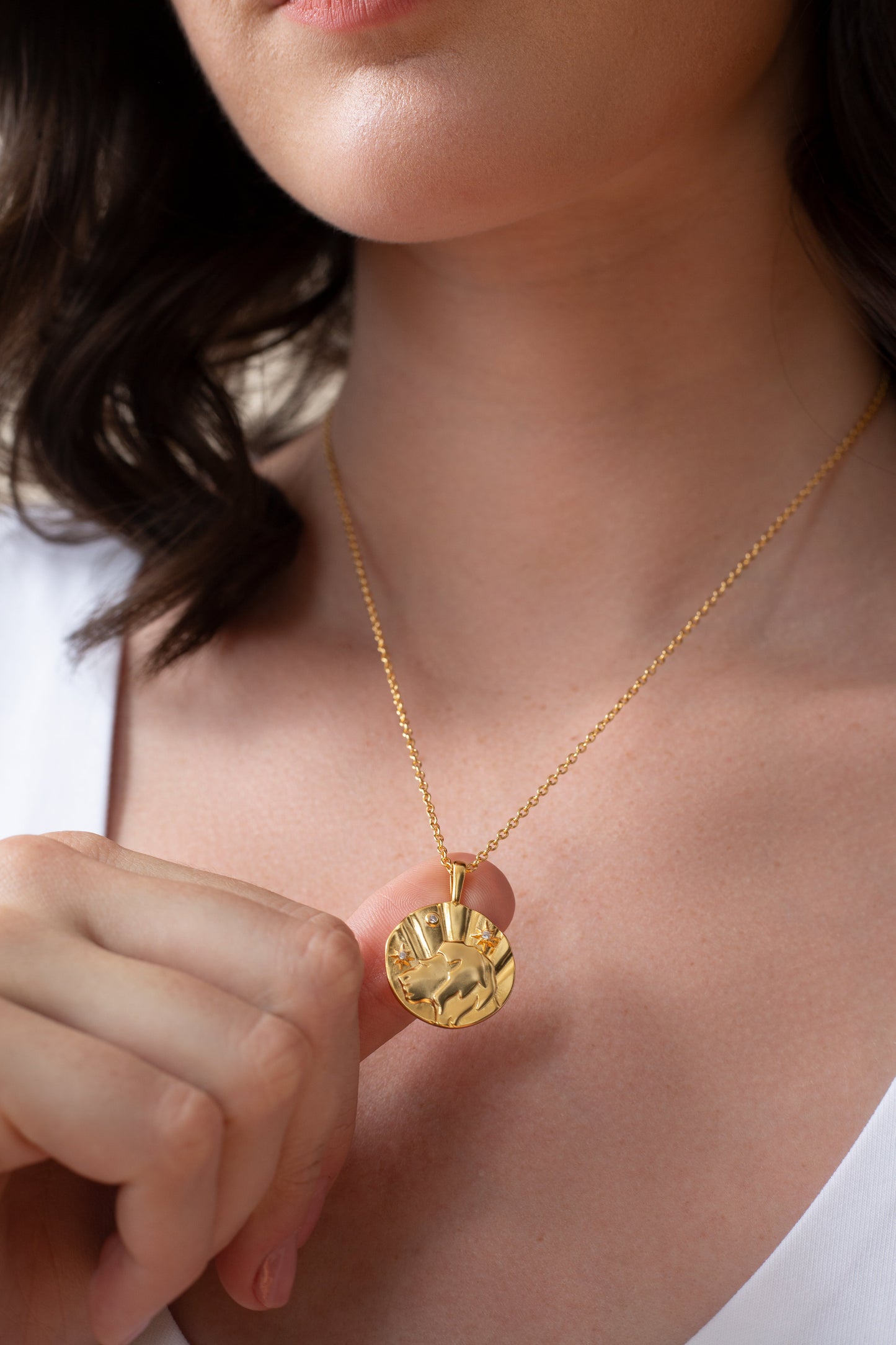 Zodiac Necklace